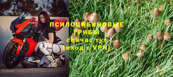 меф Алзамай