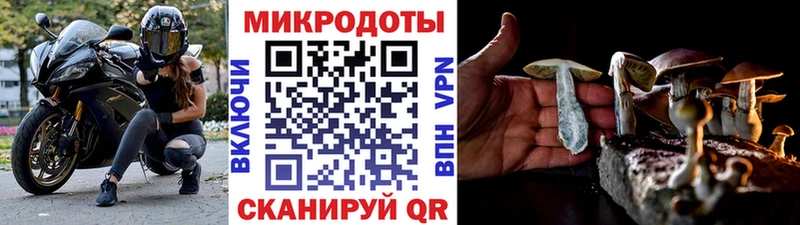 Галлюциногенные грибы Cubensis  hydra ссылка  Павловская 